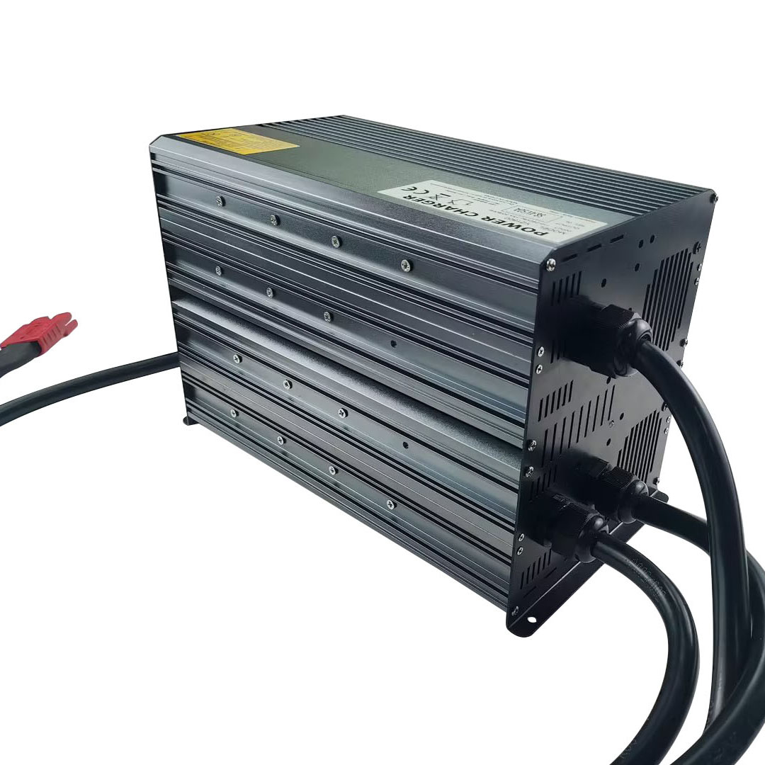 Cargador Rápido LiFePO4 de 292 - Chargers reseña y precio