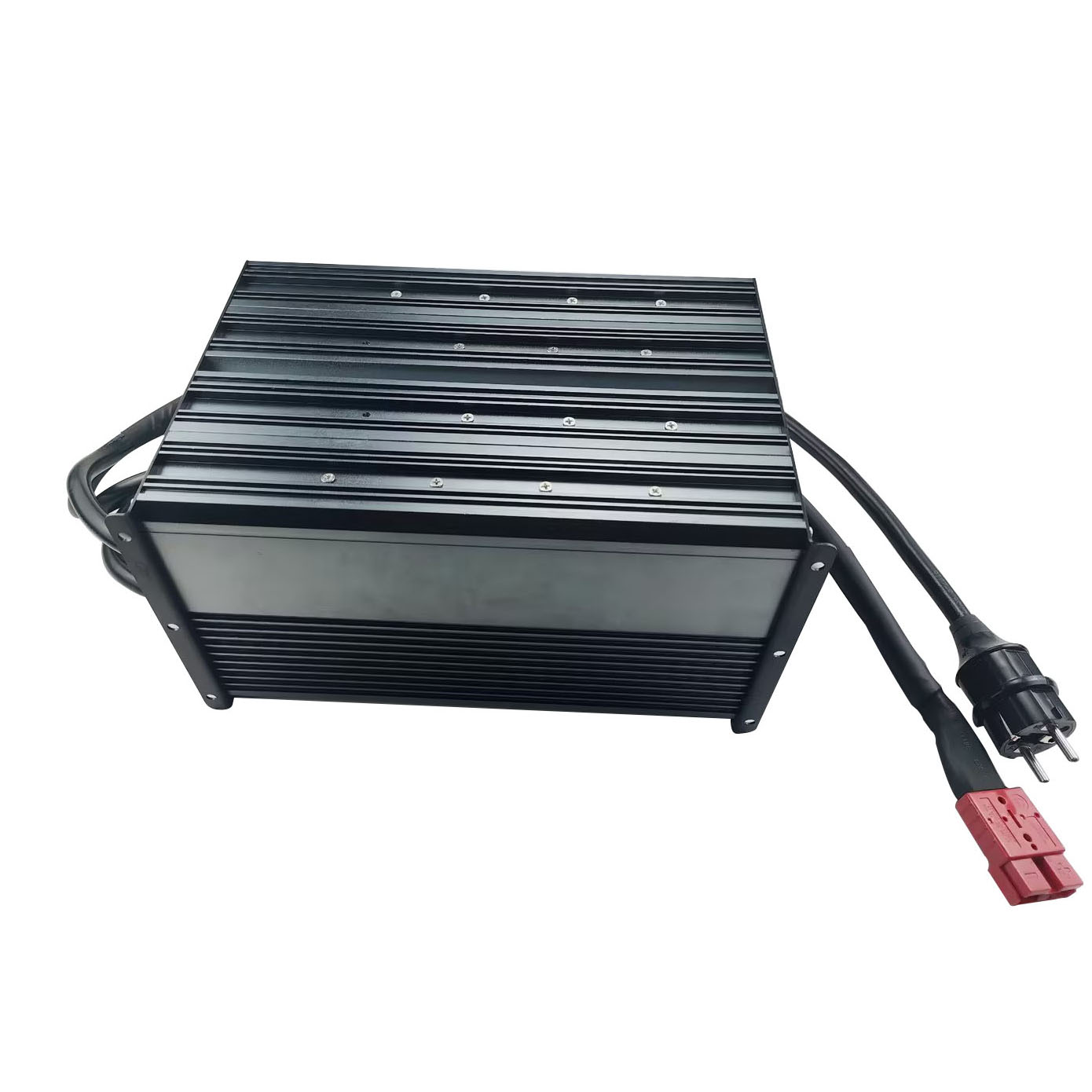 Cargador Rápido LiFePO4 de 292 - Chargers reseña y precio
